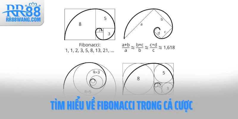 Tìm hiểu về Fibonacci trong cá cược