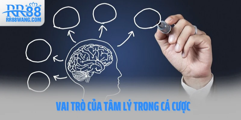 Vai trò của tâm lý trong cá cược